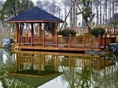 -洪湖悦兮半岛国际温泉度假村