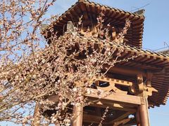 -清凉寺