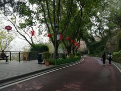 -金鸡山公园