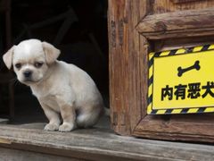 -酷公社·榴莲披萨(太原街店)
