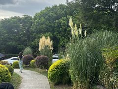 -同里国家湿地公园