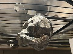 -水木锦堂·自助铁板烧(望京凯德MALL店)