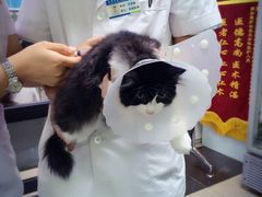 -宠颐生中康贝怡动物医院