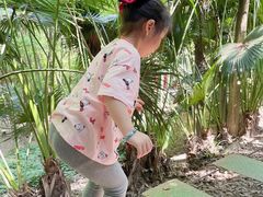 -铁山坪森林公园