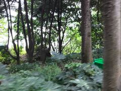 -南诏风情岛