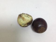 -邢记板栗(铜陵二店)