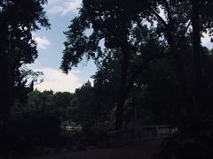-叶家花园