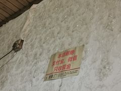 -张醪糟