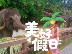 -野象谷景区