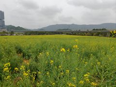 -光明小镇欢乐田园