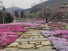 -棒棰岛宾馆景区