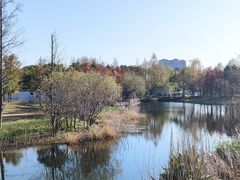 -上海长兴岛郊野公园