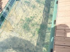 -波浪谷