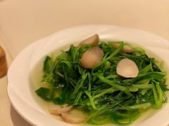 -利苑酒家(合景国际金融广场店)