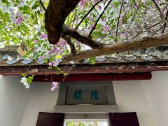 -深圳国际园林花卉博览园