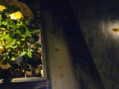 -江南足纪·影院足道·轻奢SPA(笋岗HALO广场店)
