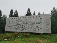 -武陵山森林公园