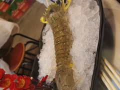 -鲜入围煮花胶鸡海鲜火锅