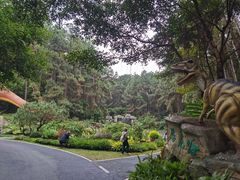 -森波拉奇妙世界