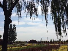 景点-南湖湿地公园