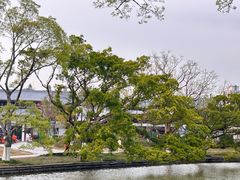 -江心屿景区