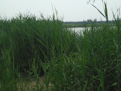 -绿堤公园