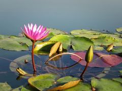 -上海植物园-4号门售票处