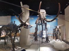 -国家自然博物馆