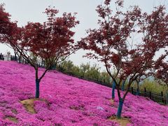 -石塘人家