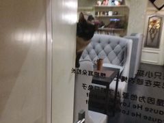 -吱咖啡西式简餐