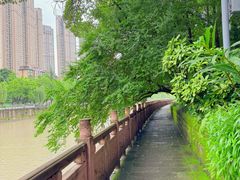 -成都市活水公园