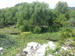 -天下玉苑