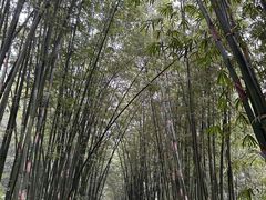 -四洞沟景区