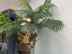 -紫藤园·天目湖大鱼头(南山竹海店)