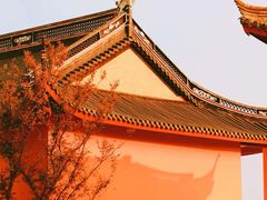 -上海青龙寺