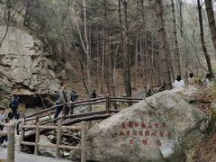 -王顺山国家森林公园