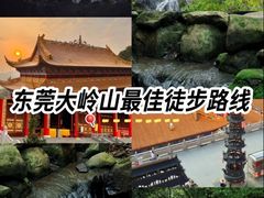 -东莞市大岭山森林公园