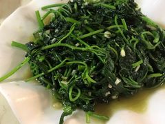 炒五指山野菜-翡翠老鸭店