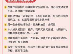-黄桷坪涂鸦艺术街