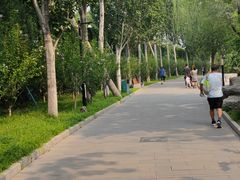 -丰台花园