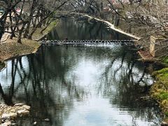 -鹿亭中村