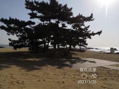 -老虎石海上公园