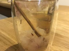 -柴务处·柴犬主题狗咖