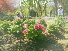 -江南大学(蠡湖校区)