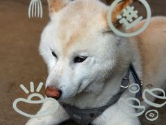 -微焙咖啡工厂(海峡创意产业园·红坊店)