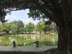 -广西大学(大学东路校区)