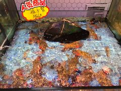 -日进一片海.生腌海鲜火锅.宵夜烧烤(三里屯总店)