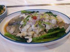 广式葱捞鲈鱼（嫩滑没什么刺哟）-顺粤楼·粤菜·点心(融创茂店)