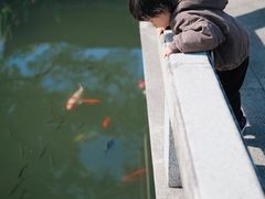 -杭州西湖柳莺里酒店