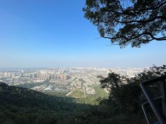 -惠山国家森林公园